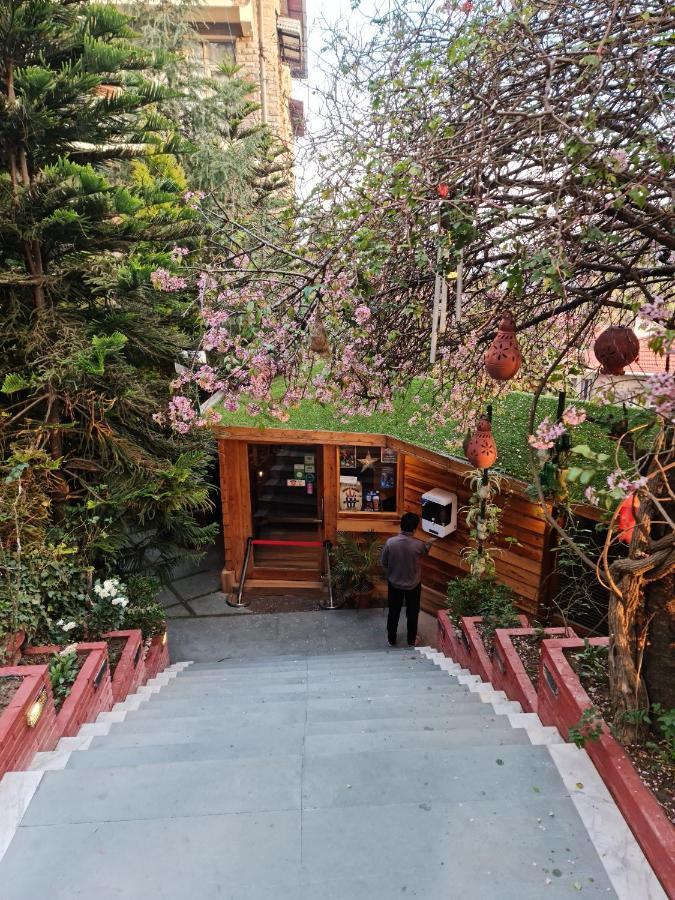 Kasauli Castle Resort Eksteriør bilde