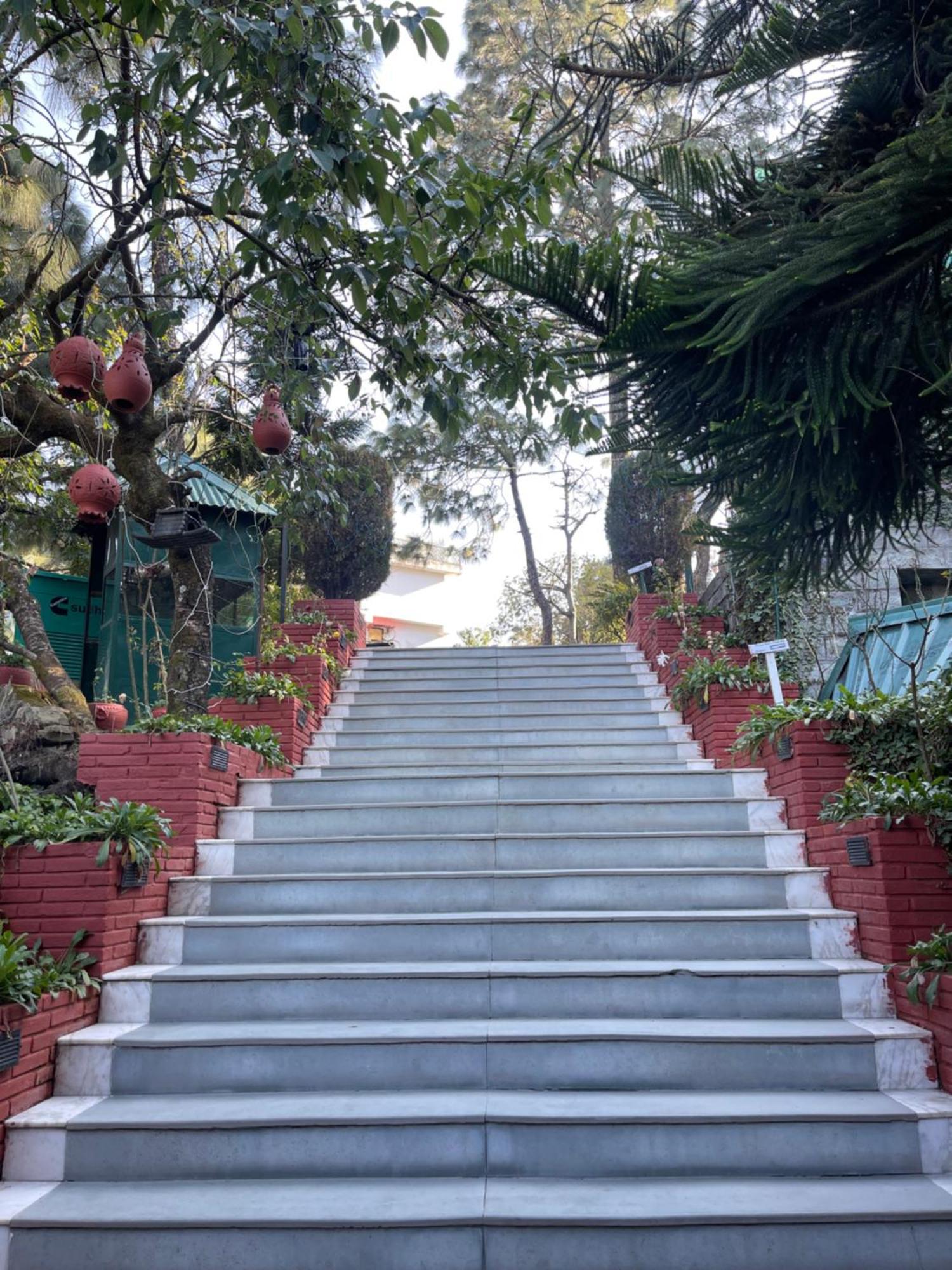 Kasauli Castle Resort Eksteriør bilde